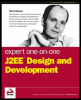 Java J2EE Design and Development